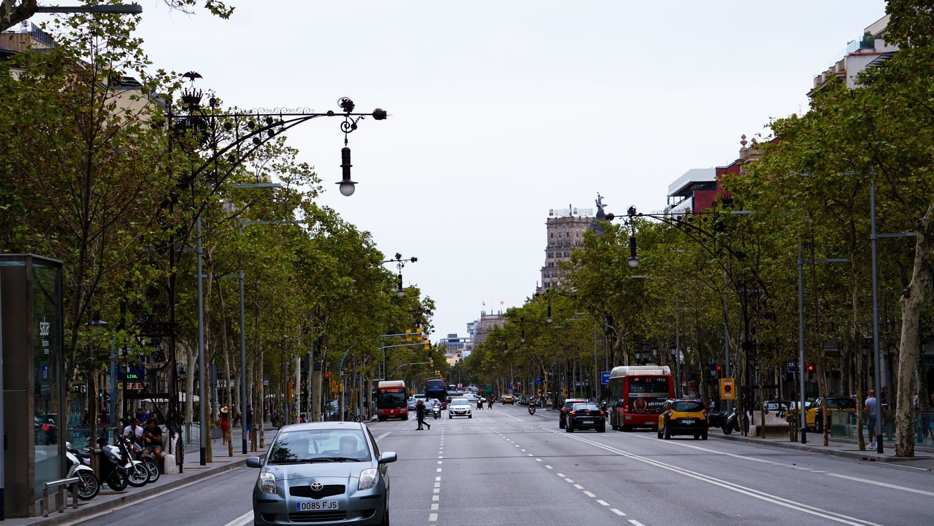 Avenida arbolada de Barcelona con coches, un autobús y taxis circulando